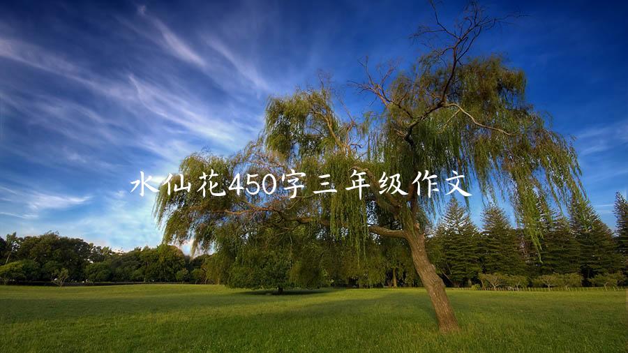 水仙花450字三年级作文