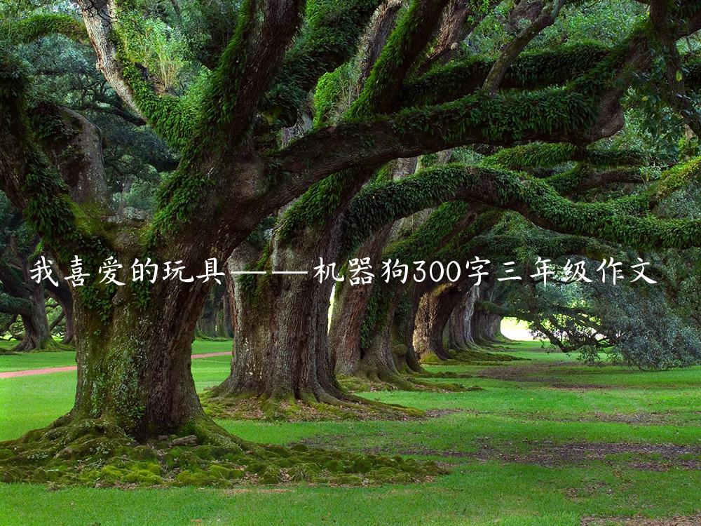 我喜爱的玩具——机器狗300字三年级作文