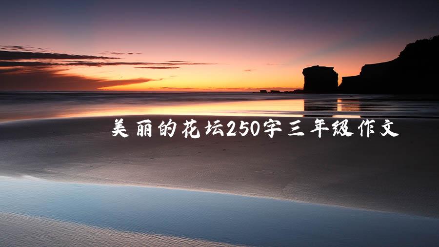 美丽的花坛250字三年级作文