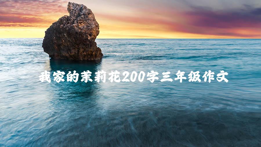 我家的茉莉花200字三年级作文