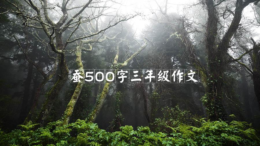 蚕500字三年级作文