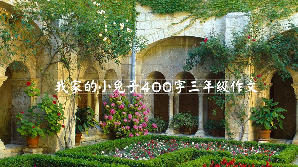 我家的小兔子400字三年级作文