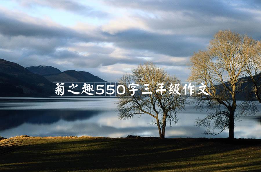 菊之趣550字三年级作文