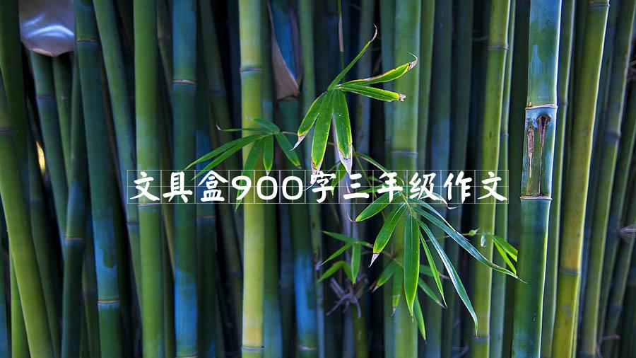 文具盒900字三年级作文