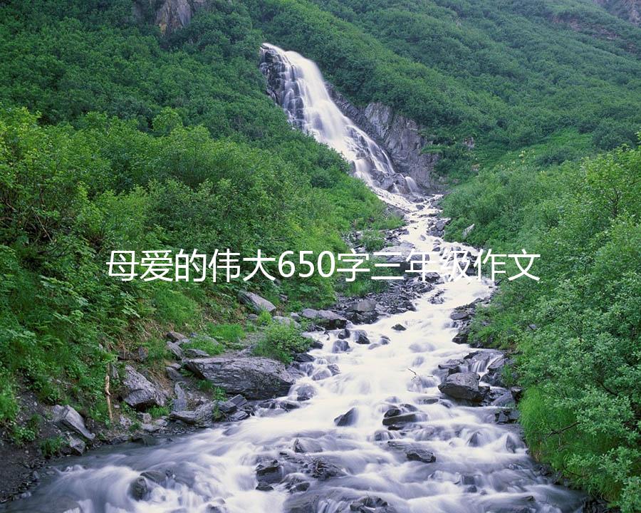 母爱的伟大650字三年级作文