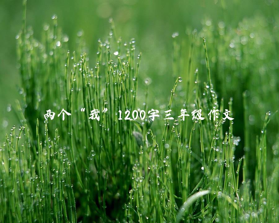 两个“我”1200字三年级作文