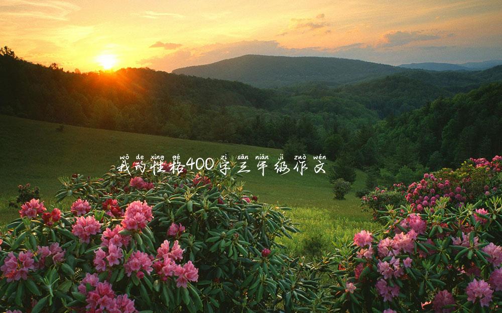 我的性格400字三年级作文