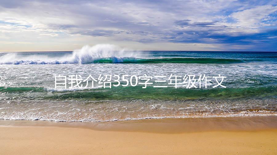 自我介绍350字三年级作文