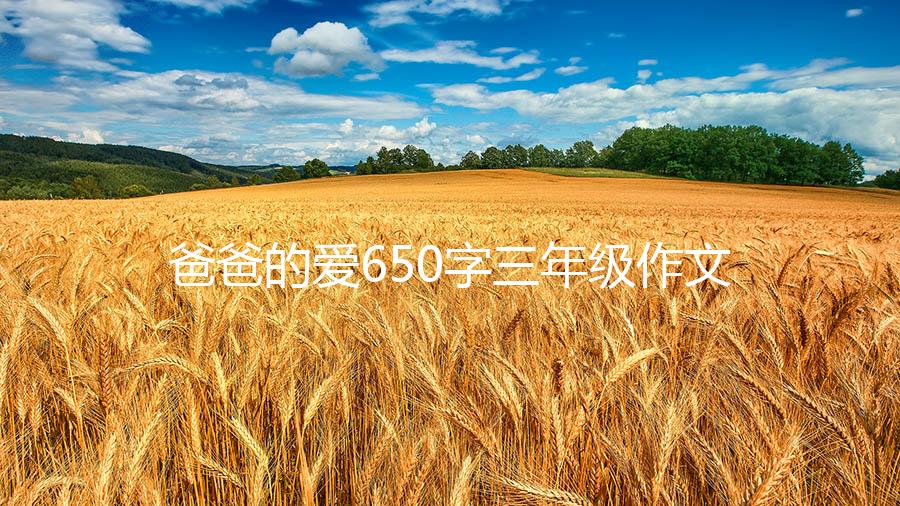 爸爸的爱650字三年级作文