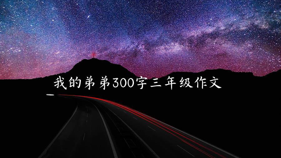 我的弟弟300字三年级作文