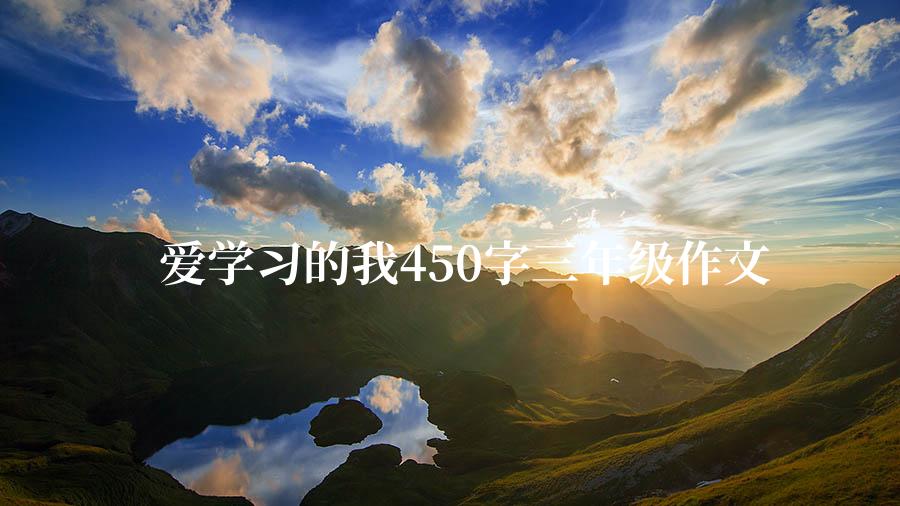 爱学习的我450字三年级作文