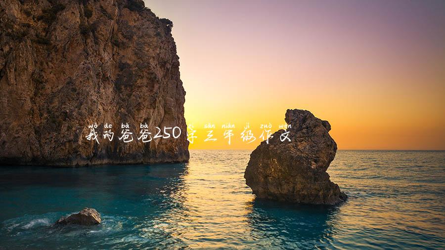 我的爸爸250字三年级作文