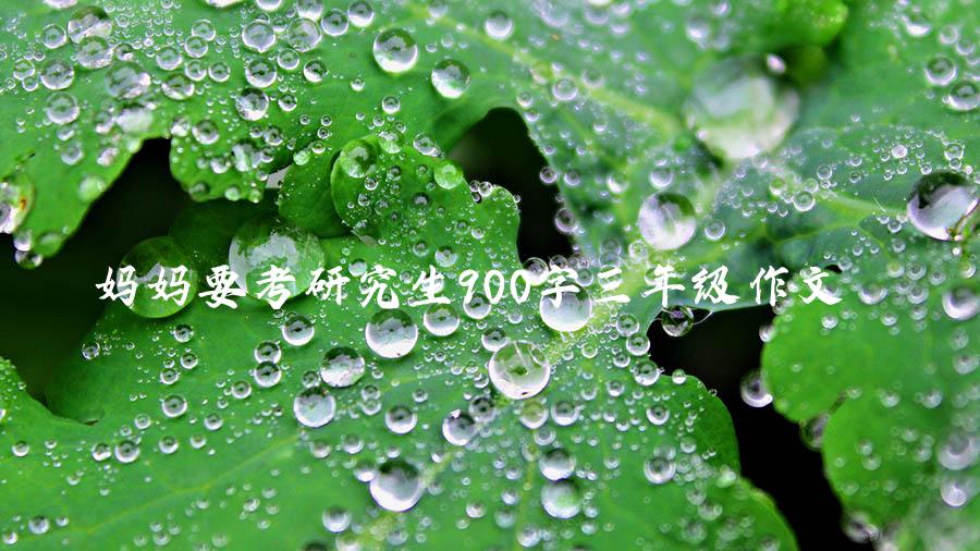 妈妈要考研究生900字三年级作文