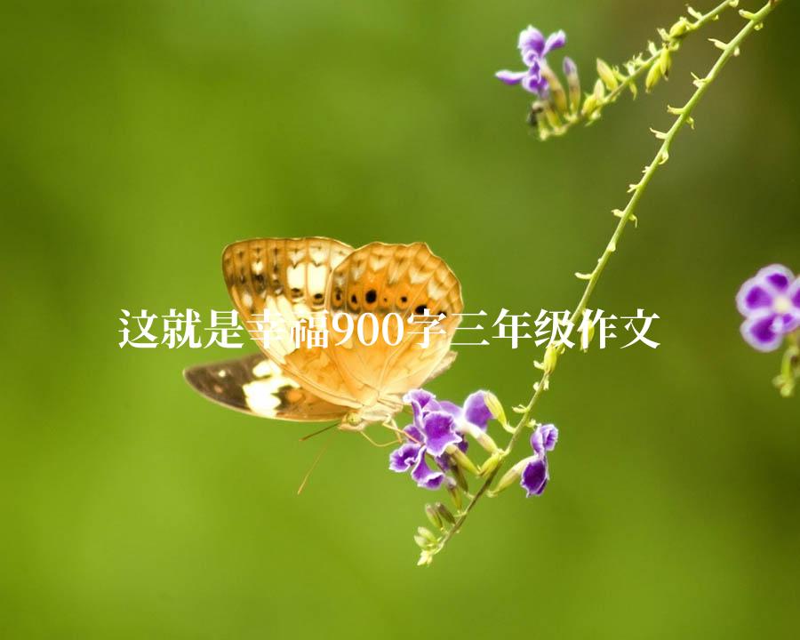 这就是幸福900字三年级作文