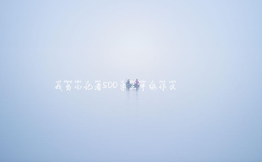 我当小记者500字三年级作文