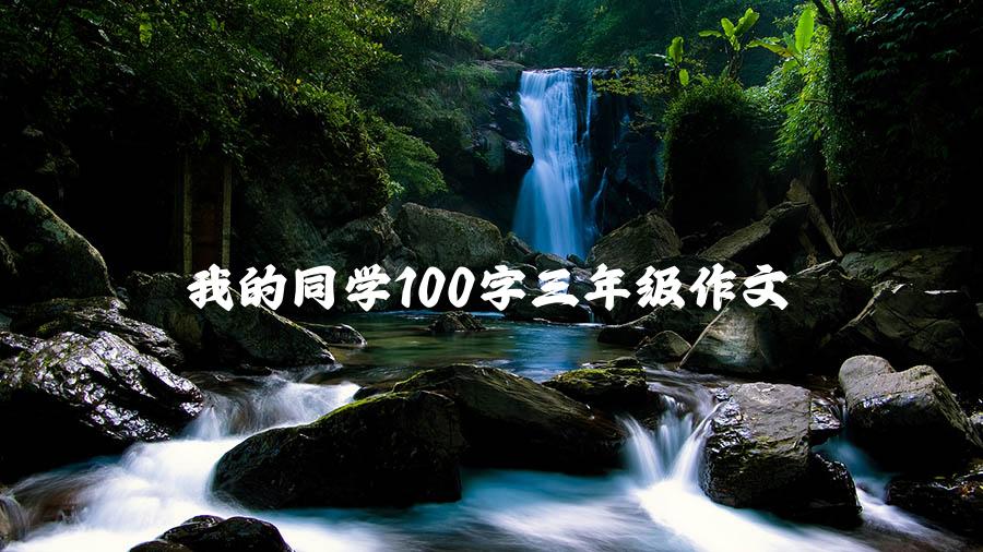 我的同学100字三年级作文