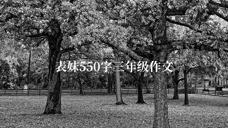 表妹550字三年级作文