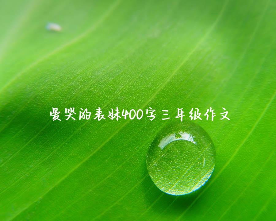 爱哭的表妹400字三年级作文