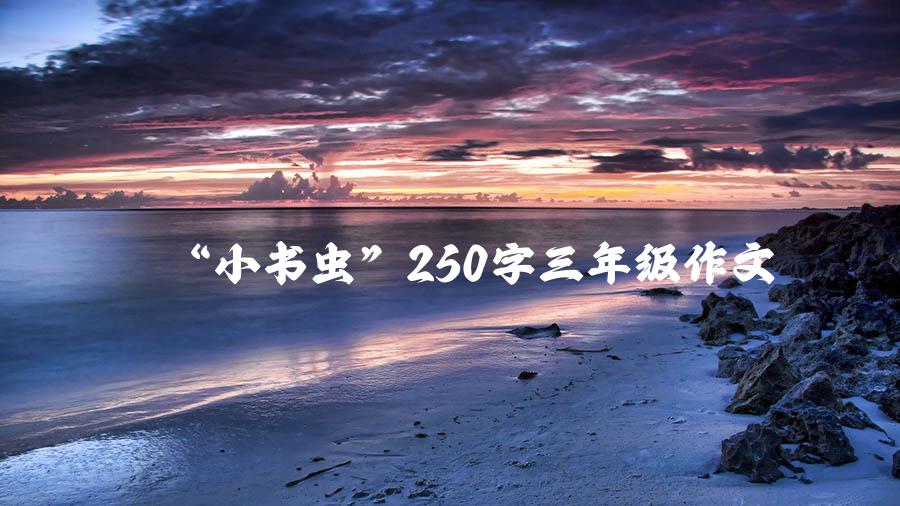 “小书虫”250字三年级作文