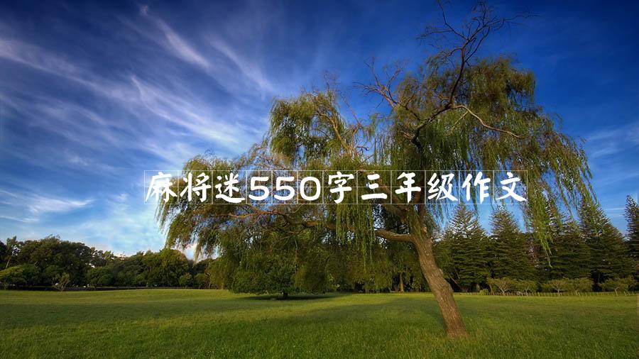 麻将迷550字三年级作文