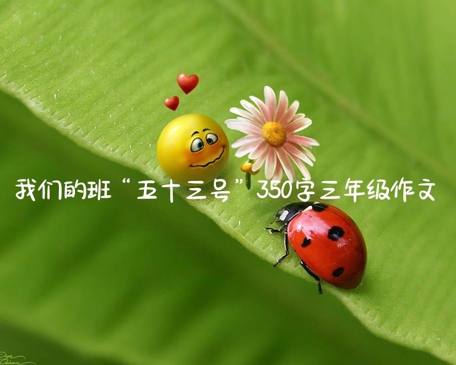 我们的班“五十三号”350字三年级作文