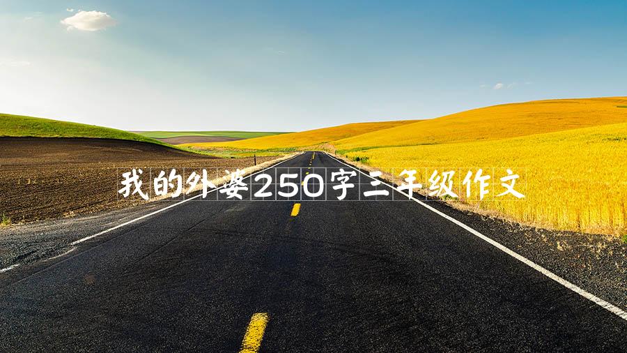 我的外婆250字三年级作文