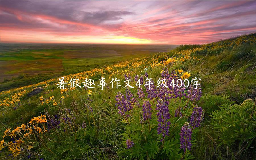 暑假趣事作文4年级400字