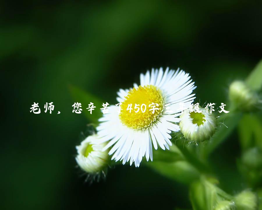 老师，您辛苦了450字三年级作文