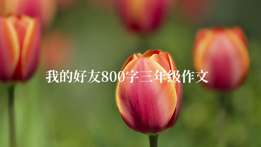 我的好友800字三年级作文