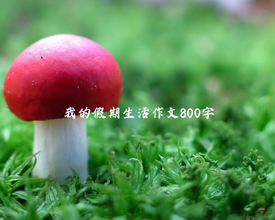 我的假期生活作文800字