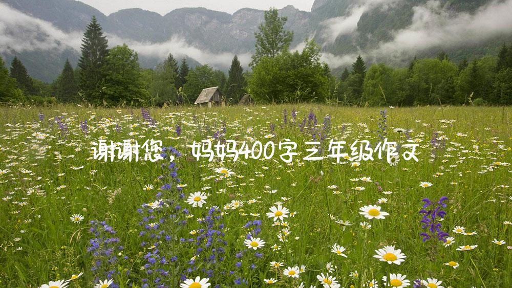 谢谢您，妈妈400字三年级作文