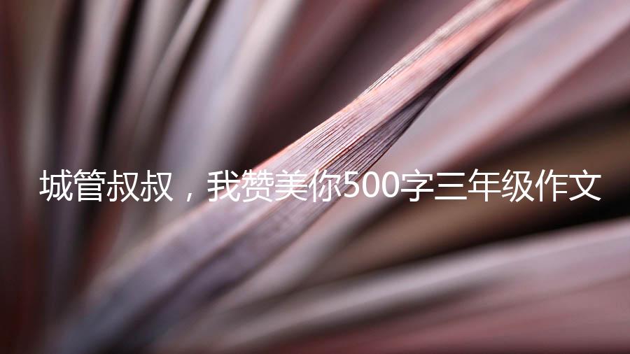 城管叔叔，我赞美你500字三年级作文