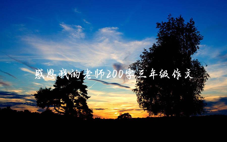 感恩我的老师200字三年级作文