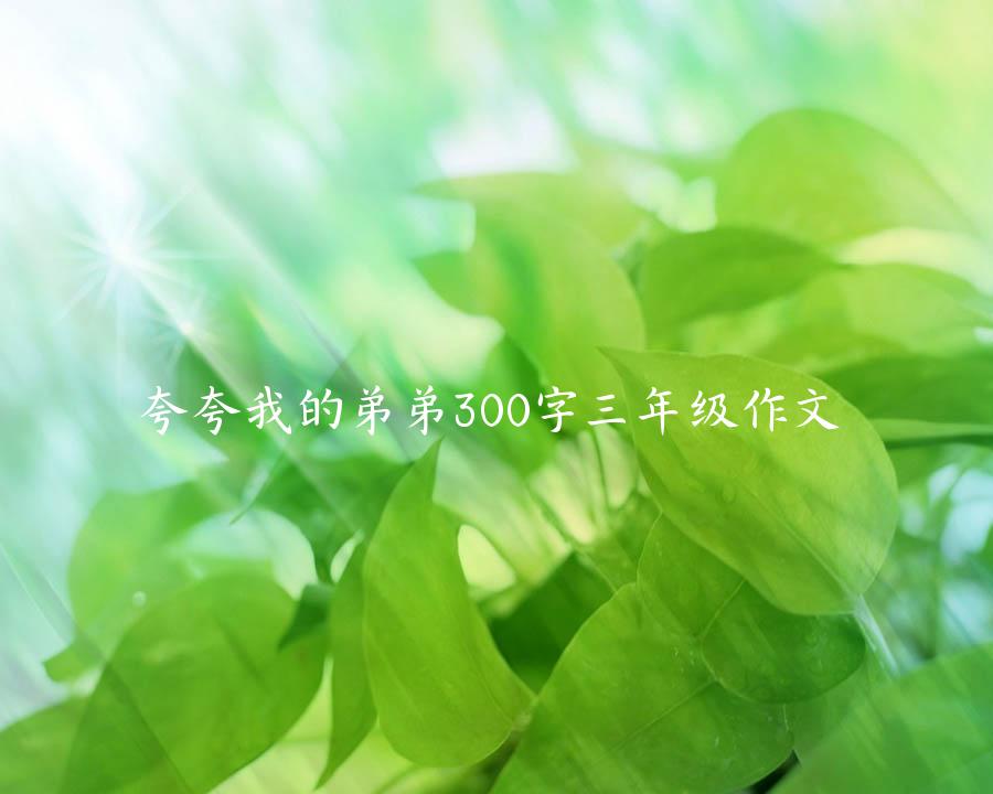 夸夸我的弟弟300字三年级作文