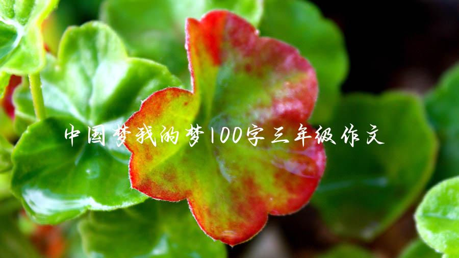 中国梦我的梦100字三年级作文