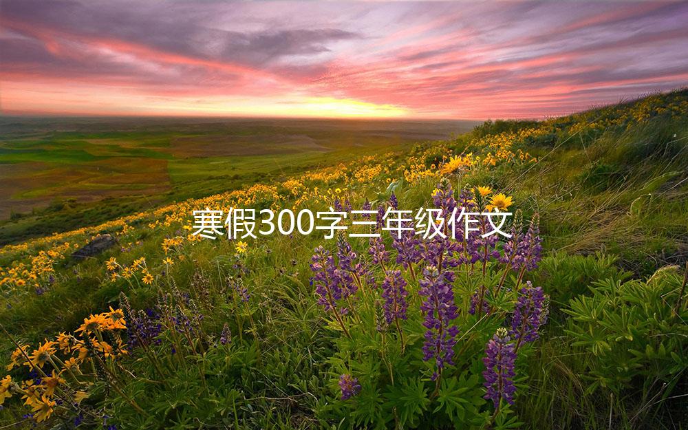 寒假300字三年级作文