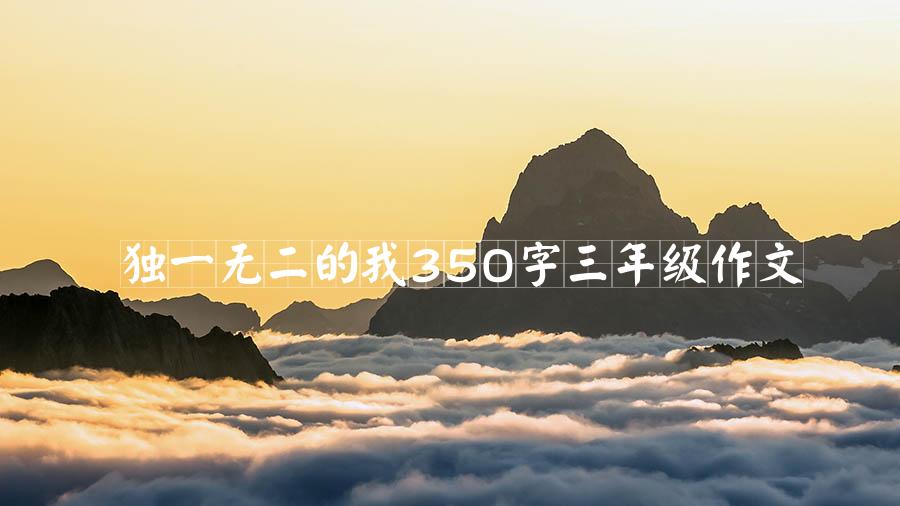 独一无二的我350字三年级作文