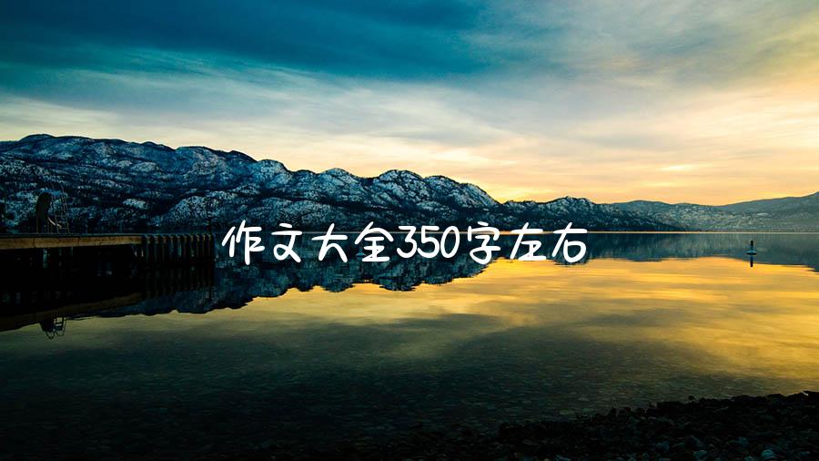 作文大全350字左右