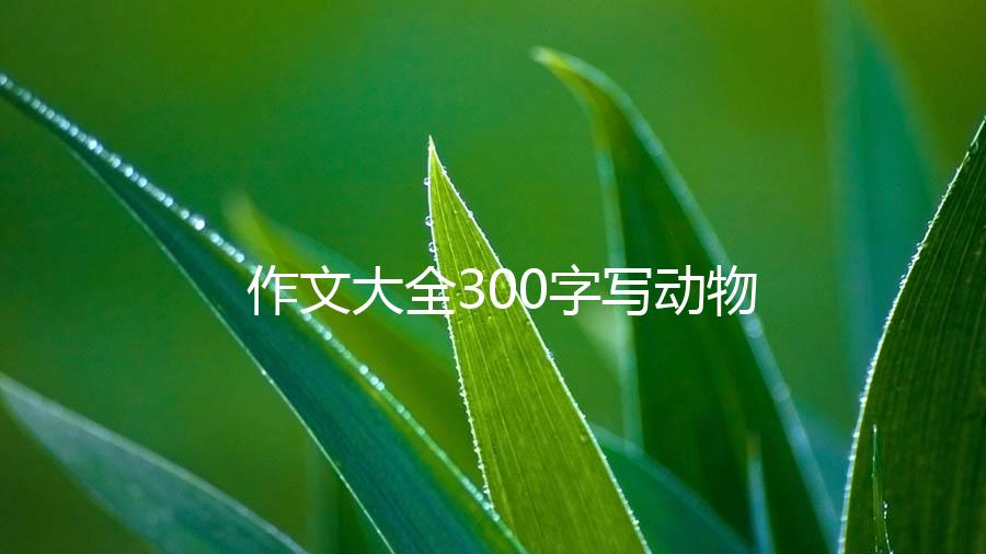 作文大全300字写动物