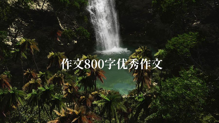 作文800字优秀作文