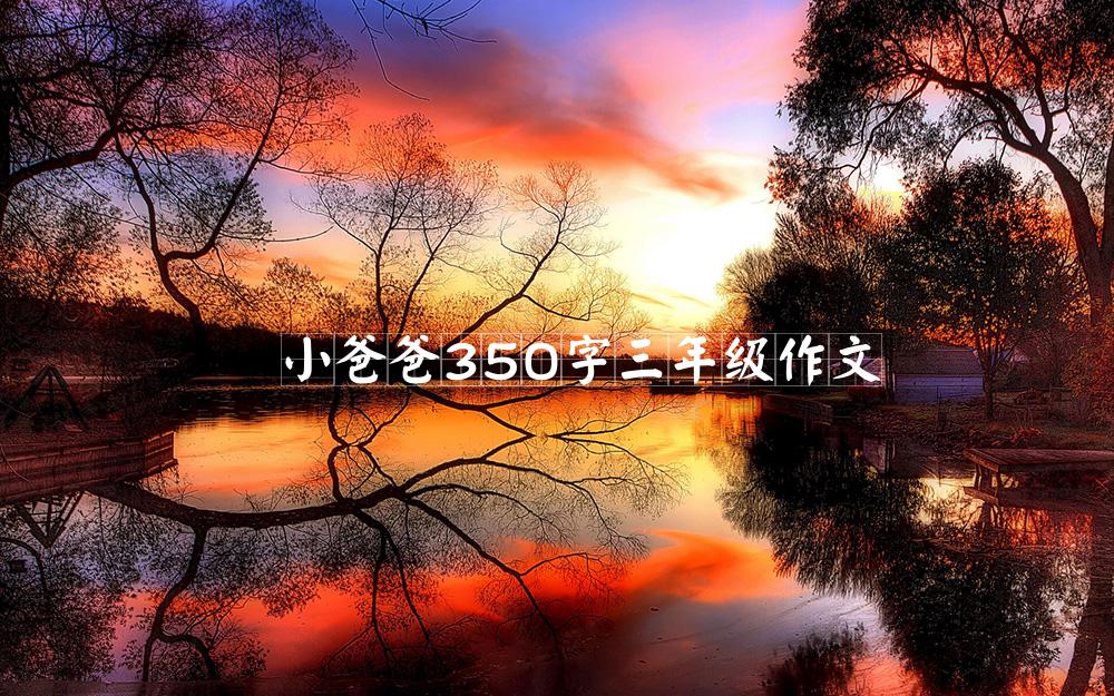 小爸爸350字三年级作文