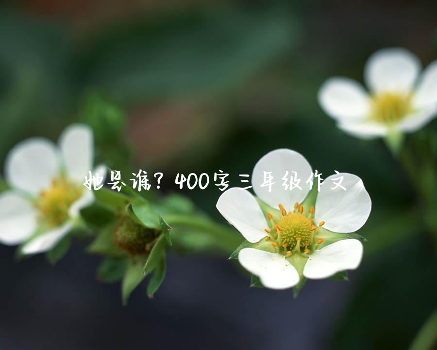 她是谁？400字三年级作文