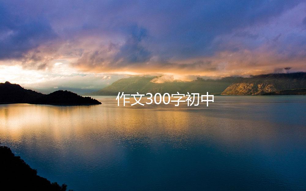 作文300字初中