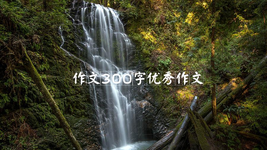 作文300字优秀作文