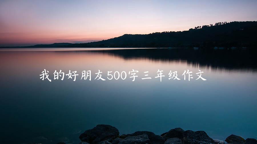 我的好朋友500字三年级作文