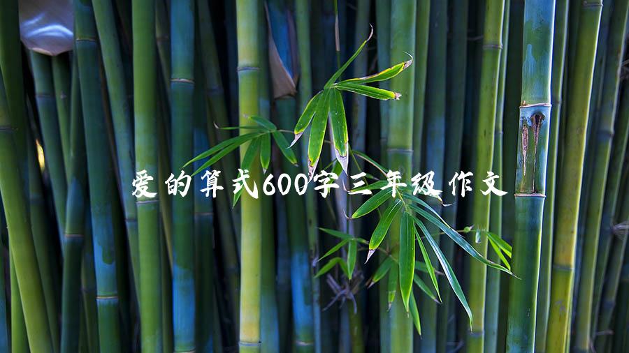 爱的算式600字三年级作文