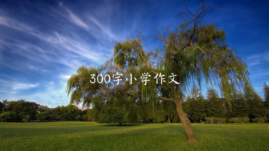 300字小学作文