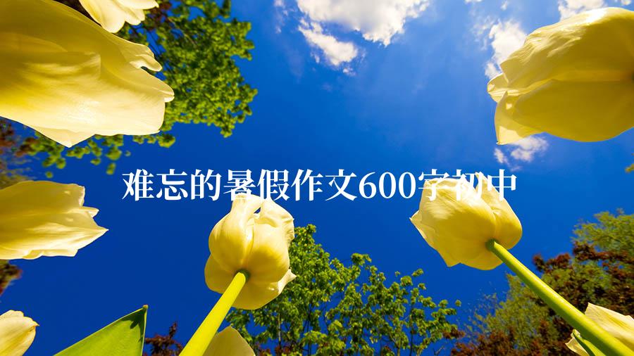 难忘的暑假作文600字初中