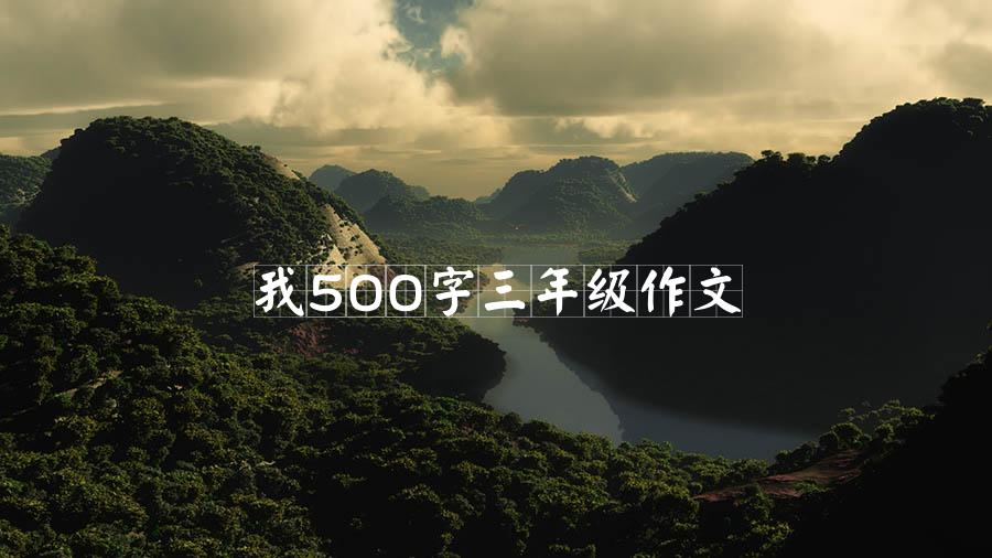 我500字三年级作文