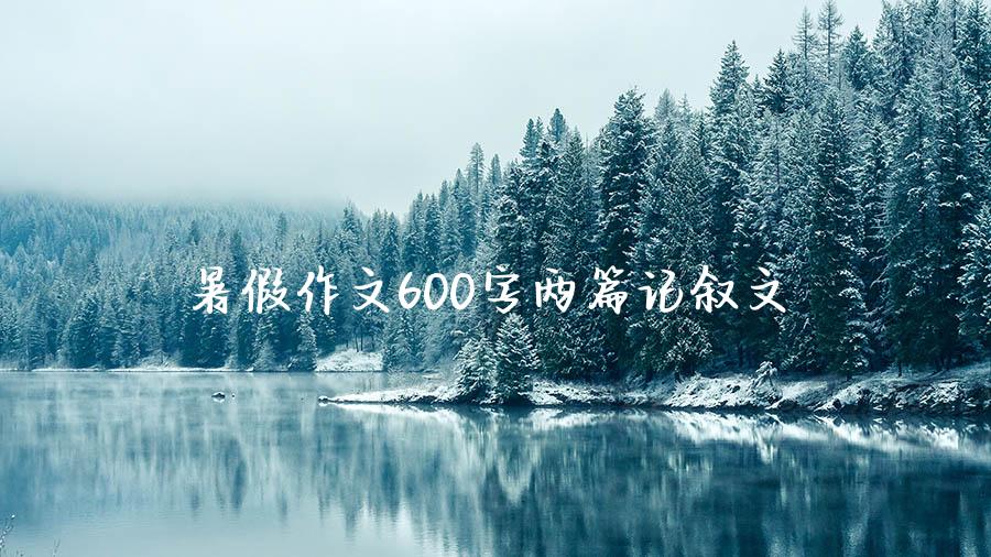 暑假作文600字两篇记叙文